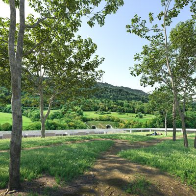 Schulhaus Höckler - Green Rooftop